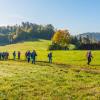 Lembach-Herbst2019