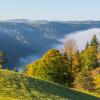 Lembach-Herbst2019