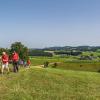 Reichenstein Sommer 2024