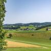 Reichenstein Sommer 2024