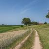 Reichenstein Sommer 2024