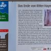 Reichenstein Sommer 2024