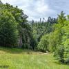 Reichenstein Sommer 2024