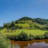 Reichenstein Sommer 2024