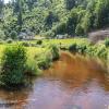 Reichenstein Sommer 2024