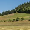 Stillensteinklamm-Sommer2019