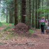 Burgstallmauerwanderung
